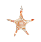 Star Ornament - Glass Art - Kingston Glass Studio - Blown Glass - Glass Blowing