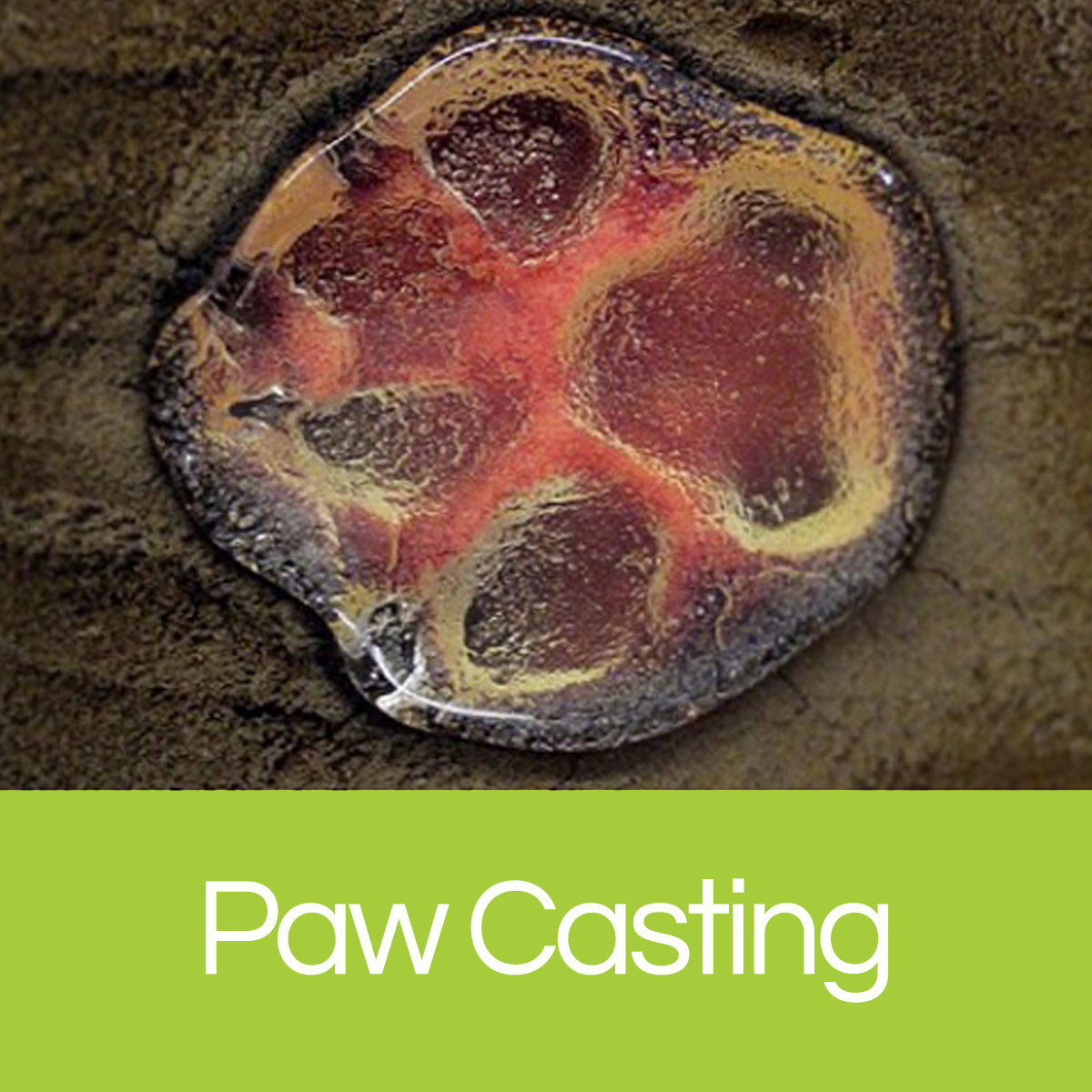 Paw Casting Gift Certificate - Glass Art - Kingston Glass Studio - Blown Glass - Glass Blowing